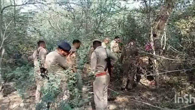 जंगल में अज्ञात युवक का शव मिलने से मचा हड़कंप