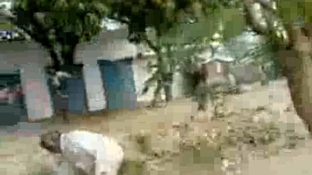 बाल पुष्टाहार की कालाबाजारी, पुष्टाहार के खाली पैकेट भारी संख्या में पड़े मिले
ब्लाक बाबागंज क्षेत्र में हो रही कालाबाजारी