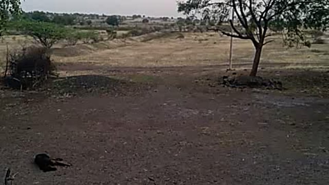 sgjk@pabanakumara #crime 