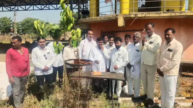 हेर येथे स्मशानभूमी  परिसरात ग्रामपंचायतीने केली 45 वृक्षांची लागवड