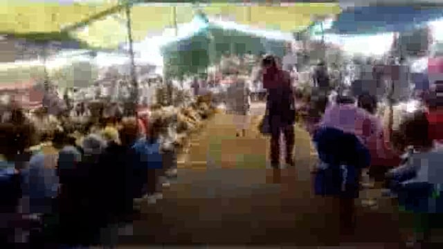 श्रीमद् भागवत कथा के समापन पर सरुआ में हुआ भंडारे का आयोजन: भंडारे में उमडा अपार जनसमूह