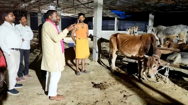 सिकौथा अस्थायी गौशाला का अध्यक्ष नगर पंचायत बिस्कोहर अजय गुप्ता ने किया औचक निरीक्षण