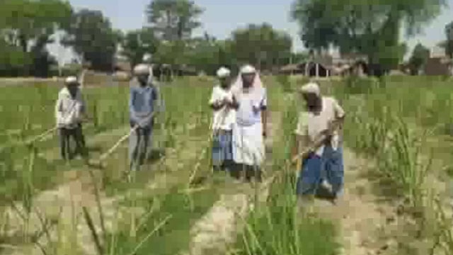 तिलका पंचायत में पहुंचे मैज़ापुर चीनी मिल के सुपरवाइजर किसानों से की मुलाक़ात