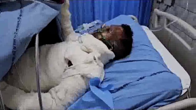 युवक की संदिग्ध मौत को लेकर छाता थाने का सैकड़ों लोगों ने किया घेराव पुलिस प्रशासन मुर्दाबाद के लगाए नारे