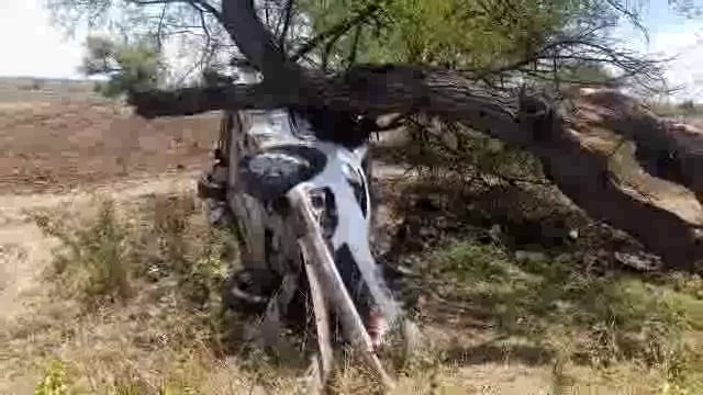 दावणगावं नागराळ जवळ कारवर झाड कोसळले,चालक जखमी
