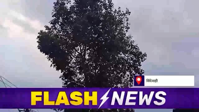 सिंदेवाही तालुक्यात आज सोमवारला ढगाळ वातावरण,शेतकरी पावसाच्या प्रतीक्षेत. 