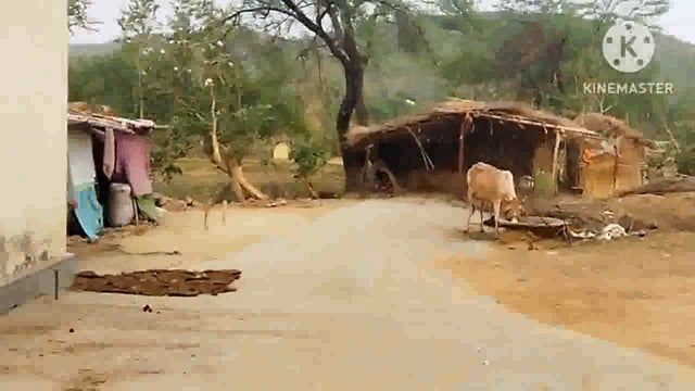 खजाना गांव में वर्षों पुराने रास्ते को एक पक्ष झोपड़ी बनाकर एवं दूसरे पक्ष बॉस बल्ले से घेरकर किया बंद, ग्रामीण परेशान