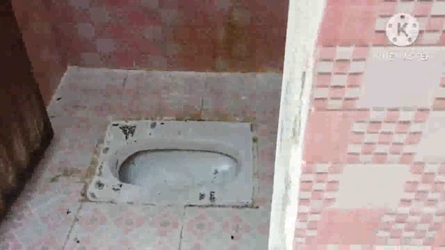 खबर का दिखा असर जिलाधिकारी के आने से पहले कूड़े में तब्दील फुल्लीडुमर प्रखंड परिसर के शौचालय की हो गई साफ-सफाई