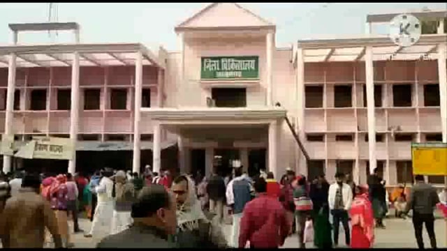 बिलरियागंज मदनापार में सफेदा का पेड़ काट रहे अधेड़ के ऊपर गिरा पेड़ हुआ घायल जिला अस्पताल में चल रहा है ईलाज