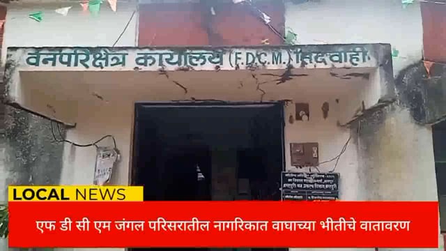 एफ डी सी एम  वनपरिक्षेत्र अंतर्गत येणाऱ्या जंगल परिसरात नागरिकात वाघाच्या भीतीचे वातावरण. 