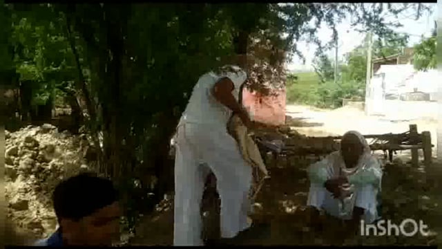 जहरीले कीड़े के काटने से हुई पशु की मौत परिबार में मचा कोहराम कराई इतत्तफाकिया रिपोर्ट दर्ज