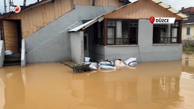 Evde Oturan Kurt Ailesi Canlarını Zor Kurtardı