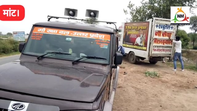 गौ सेवा मिशन और गौ रक्षा दल टीम ने घायल नंदी को उपचार के लिए भेज, मृत गौवंश को सम्मान पूर्वक गड्डे में दफ़नाया।