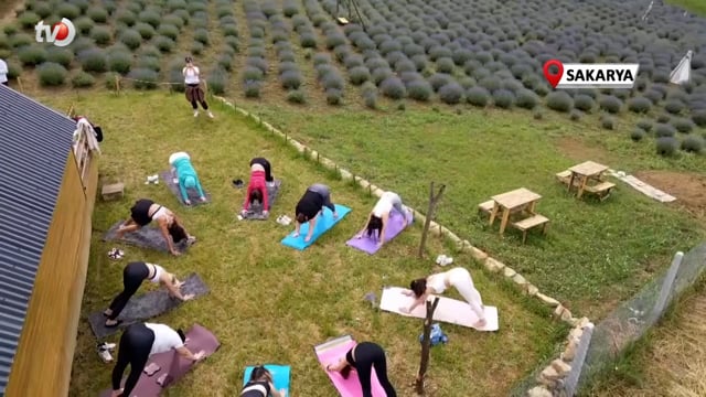 Lavanta Bahçesi Fotoğrafçıların ve Yerli Turistlerin Uğrak Noktası Oldu