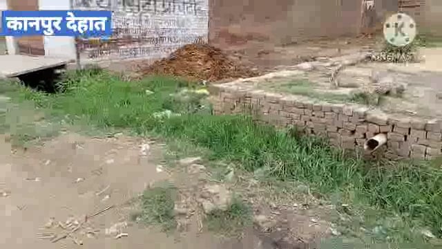 कानपुर देहात - ग्राम पंचायत शेखपुर में सफाई कर्मी के ना पहुंचने पर गांव में फैली गंदगी बीमारी फैलने की आशंका