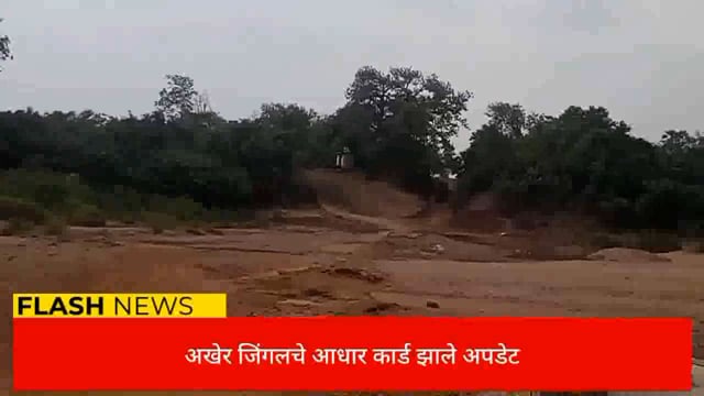 सात वर्षानंतर अखेर जिंगलचे आधार कार्ड झाले अपडेट. 