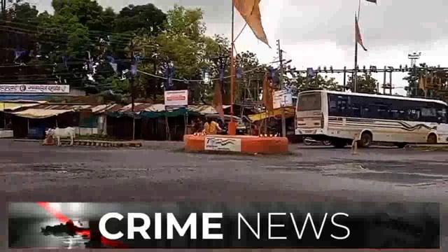 सिंदेवाही पोलिसांनी अवैधरित्या जनावरे कंटेनर मध्ये वाहतूक करून नेताना पकडले. 