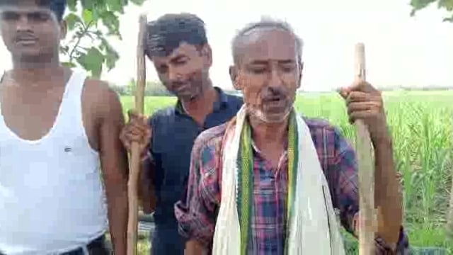 बलरामपुर जिले में तेंदुए का आतंक जारी दो घायल सुनिए क्या कहते हैं ग्रामीण।