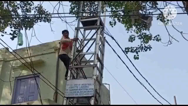 धर्म नगरी गोवर्धन में लगने वाले मुड़िया पूर्णिमा मेले पर भक्तजनों का सैलाब उमड़ने की उम्मीद 