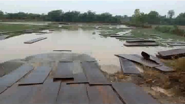 प्रसाशन द्वारा की गई मुडिया पूर्णिमा मेला के व्यवस्थाओं की बरसात ने खोली पोल

मथुरा रोड पर स्थित बनी पार्किंग हुई जलमग्न