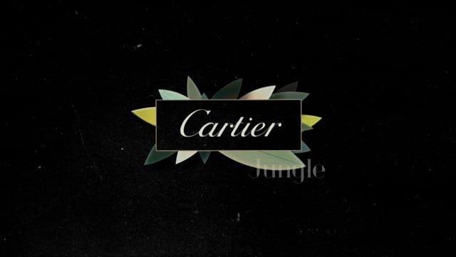 Cartier - Vitrines hero