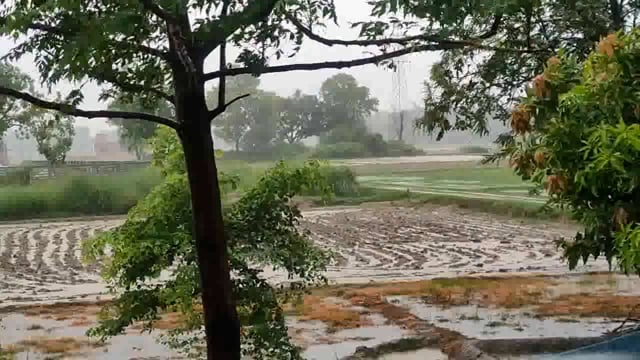 इटवा तहसील क्षेत्र में तेज हवा के साथ मूसलाधार बारिश लोगों को गर्मी से मिली राहत धान की खेती के लिए लाभदायक