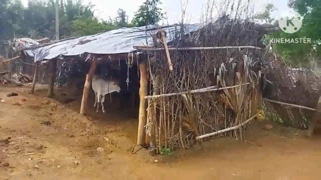 पीएम आवास योजना गरीबों के लिए सिर्फ दिखावा, बरसात में भींग कर जीने को विवश ग्रामीण