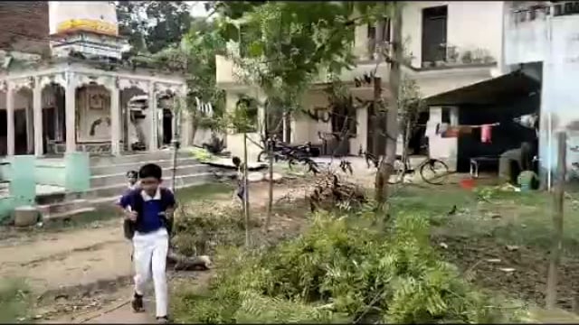 पुराने नीम के पेड़ विद्युत तार पर गिरने से संग्रामगढ़ की विद्युत व्यवस्था बीती रात से बाधित, विभाग के जिम्मेदार नदारद