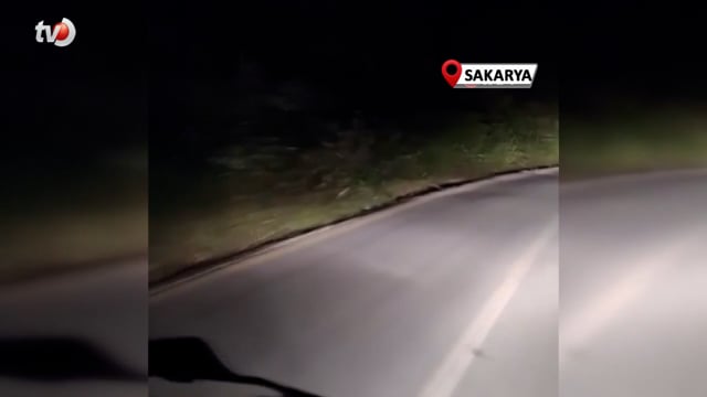 Kovaladıkları Tavşanı Tilkiye Kaptırıyorlardı