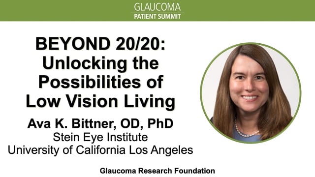 2023 Summit The Possibilities Of Low Vision Living