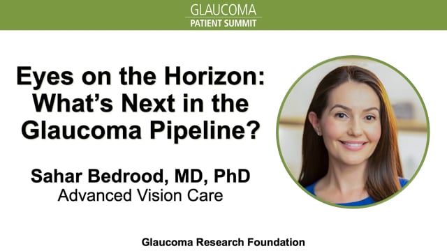 2023 Summit What’S Next In The Glaucoma Pipeline?