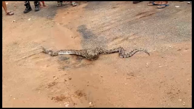 बघा पोलीस ठाण्यात काय घडले