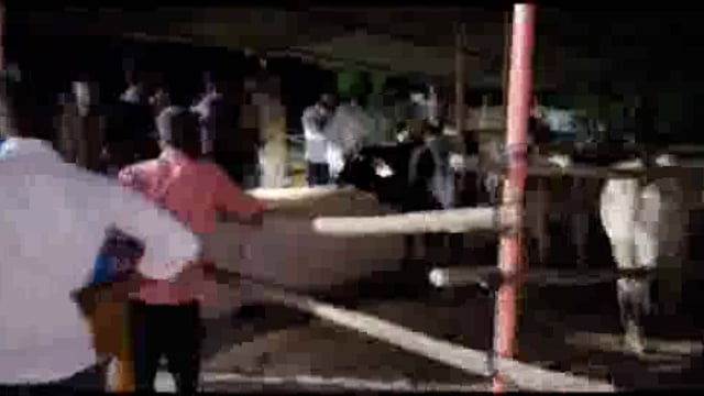 सिकौथा में बन रहे अस्थाई गौशाला का अध्यक्ष अजय गुप्ता ने देर रात किया निरीक्षण गुणवत्तापूर्ण काम कराने कि कही बात