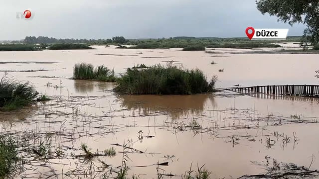 Efteni Gölü Yağışlar Sonrası Taştı