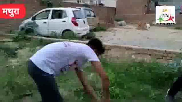 स्ट्रेंजर फ्रेंड्स हेल्पिंग हैंड्स सोसायटी ने चलाया दो दिवसीय सफाई अभियान।