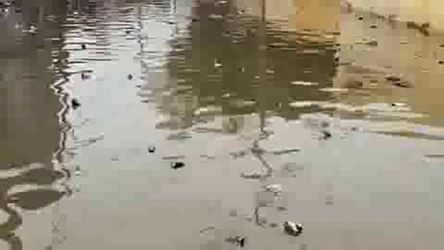 माट विकासखंड के भीम गांव में पोखर के ओवरफ्लो होने से मकान व रास्ता व सड़कों पर हुआ भीषण जल भराव