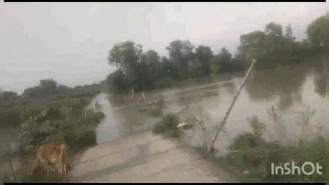 कोयला अलीपुर गांव में हुआ बाढ़ के पानी से गली गलियारों में जलभराव नहीं पहुंचा कोई भी अभी तक सुध लेने