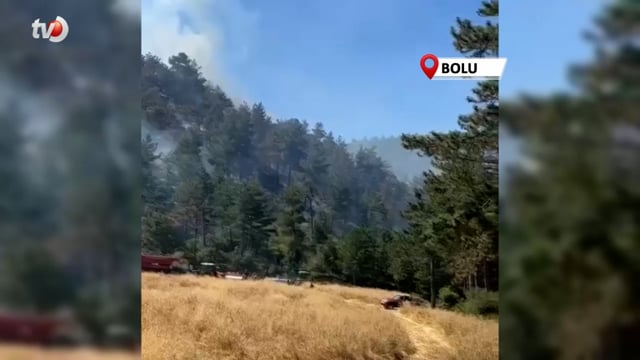 Bolu'daki Orman Yangınına Helikopterler Havadan Müdahale Ediyor