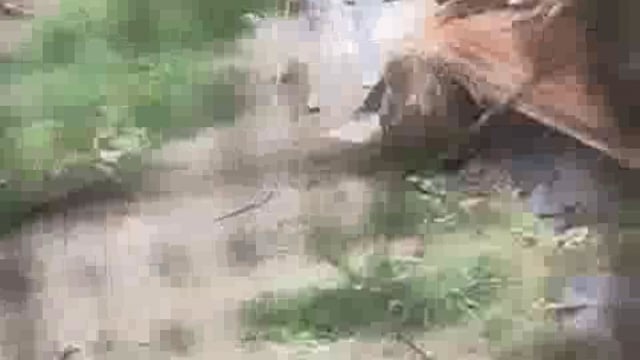 दबंगों ने गिराया गरीब का आशियाना बिलखती रही महिलाएं मूकदर्शक रही पुलिस