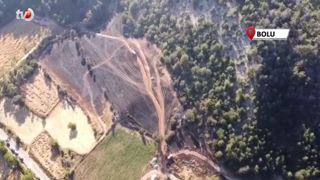 Bolu'da Çıkan Orman Yangınında 5 Hektarlık Alan Küle Döndü