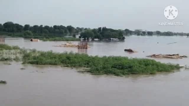 यमुना का जलस्तर बढ़ने से सड़कों पर तबाही का मंजर देख सहमें लोग।