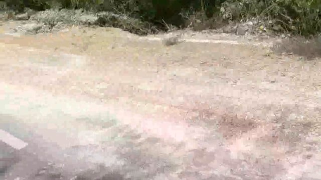 भारी बारिश से किसान हुआ बर्बाद मक्का और मूंगफली  में भरा पानी मक्का सड़ने लगी