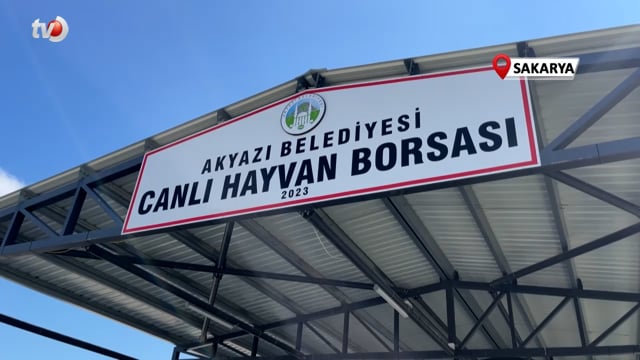 Sakarya'da Şap Numuneleri Pozitif Çıktı