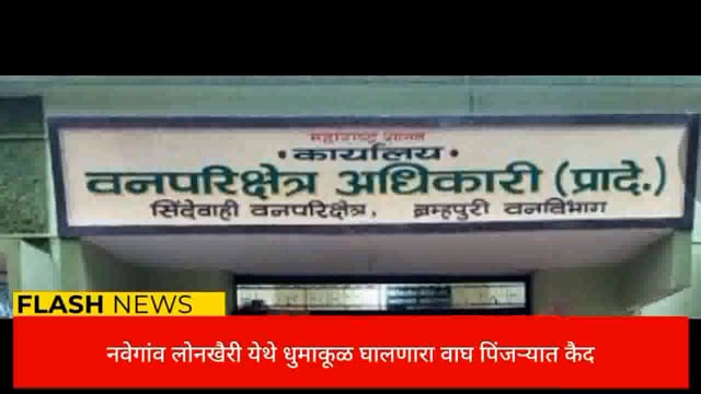 नवेगाव लोनखैरी येथे धुमाकूळ घालणाऱ्या वाघाला वनविभागाने पिंजऱ्यात कैद केले. 