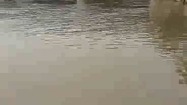 मथुरा गोकुल बैराज यमुना महारानी के दिव्य दर्शन रिपोर्टर लक्ष्मण सिंह