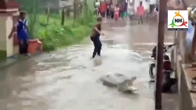  यमुना में आई बाढ़ के पानी में बहकर रिहायशी इलाकों में आया मगरमच्छ, लोगों में बना भय का माहौल, वीडियो हुआ वायरल। 