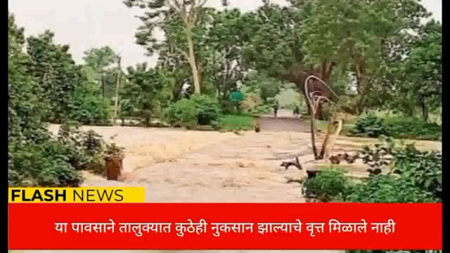 सिंदेवाही तालुक्यात आज शुक्रवारला जोरदार पावसाची बॅटिंग सुरू आहे. 