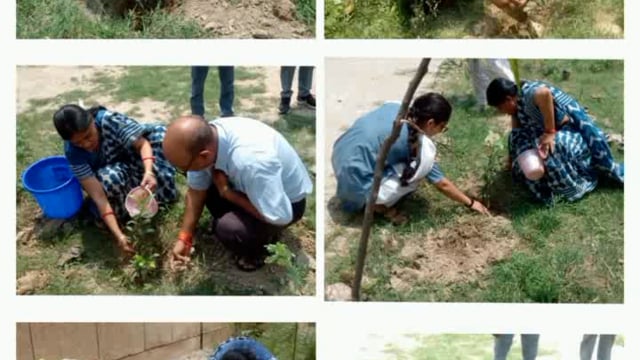 वन महोत्सव के तहत राजकीय महाविद्यालय माट में किया गया वृक्षारोपण छात्र-छात्राओं ने लिया बढ़-चढ़कर भाग