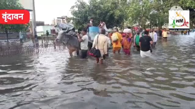 परिक्रमा मार्ग में घुटनों से ऊपर तक पहुंचा यमुना का पानी श्रद्धालु भक्त फिर भी कर रहे परिक्रमा।