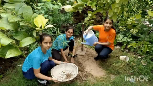 अमरनाथ गर्ल्स डिग्री कॉलेज की राष्ट्रीय सेवा योजना इकाई द्वारा मेरी माटी मेरा देश कार्यक्रम के अंतर्गत पौधारोपण किया